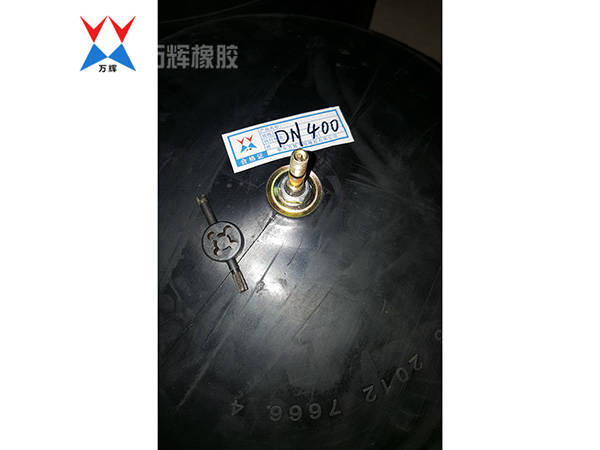 閉水實驗氣囊